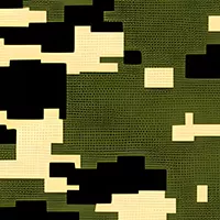 corporate-jet-skinall-camo-4.webp