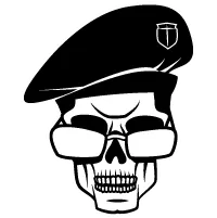 Skin Choice to Customize, download and fold paper planes