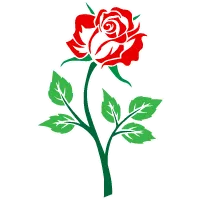 Skin Choice to Customize, download and fold paper planes