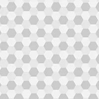 Skin Choice to Customize, download and fold paper planes