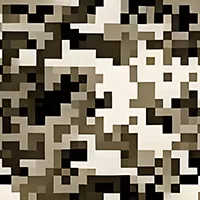 corporate-jet-skinall-camo-3.webp