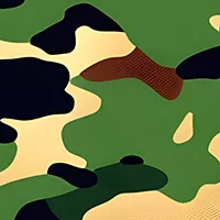 corporate-jet-skinall-camo-8.webp