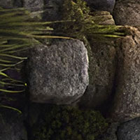 the-needle-skinthe-needle-24-129.webp